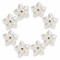 Wholesale Pearl Flower Rhinestones| Apparel & Accessories |Z084