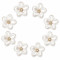 Wholesale Pearl Flower Rhinestones| Apparel & Accessories |Z087