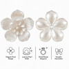 Wholesale Pearl Flower Rhinestones| Apparel & Accessories |Z089