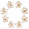 Wholesale Pearl Flower Rhinestones| Apparel & Accessories |Z090