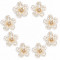 Wholesale Pearl Flower Rhinestones| Apparel & Accessories |Z090