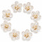 Wholesale Pearl Flower Rhinestones| Apparel & Accessories |Z091
