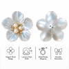 Wholesale Pearl Flower Rhinestones| Apparel & Accessories |Z091