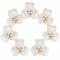 Wholesale Pearl Flower Rhinestones| Apparel & Accessories |Z093