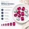 G&J Rectangular Pointed Back Glass Crystal Hotfix Rhinestones for Clothing, Dresses, Shoes and Accessories
