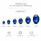 Wholesale Oval Sew-On Glass 4D Claw Rhinestones