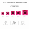 G&J Wholesale Flat Cut Square Acrylic Sew-On Rhinestones Two-Hole