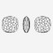 Fatty's Judas Tree | K9 Glass, fancy stone | jewelry accessorie | crystal | rhinestone