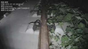 Track Scanner Effectiveness