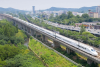 China Railway Chengdu Group Co., Ltd. Shanghai-Wuhan-Chengdu High-Speed Passenger Corridor