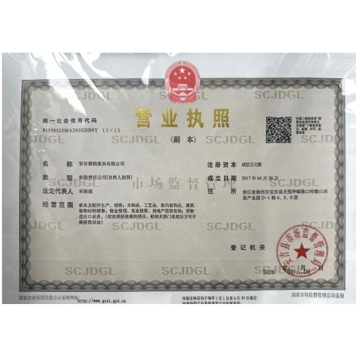 BUSINESS LICENSE