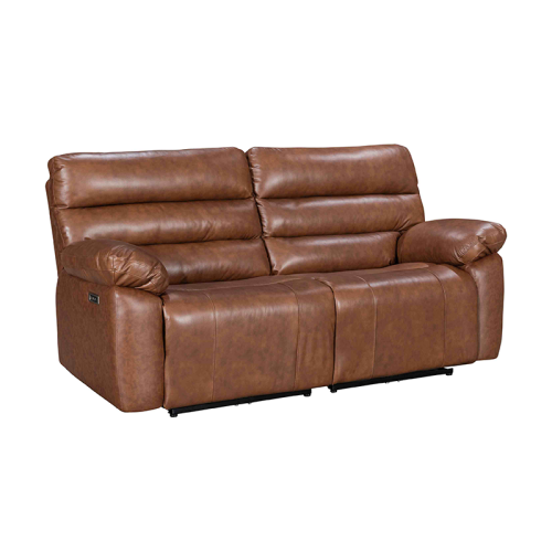 Electric Genuine Leather 2-Seater Sofa with USB and Type-C charging ports.