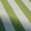 PFAS-Free Fabrics for Custom Sportswear: What Brand Buyers Need to Know