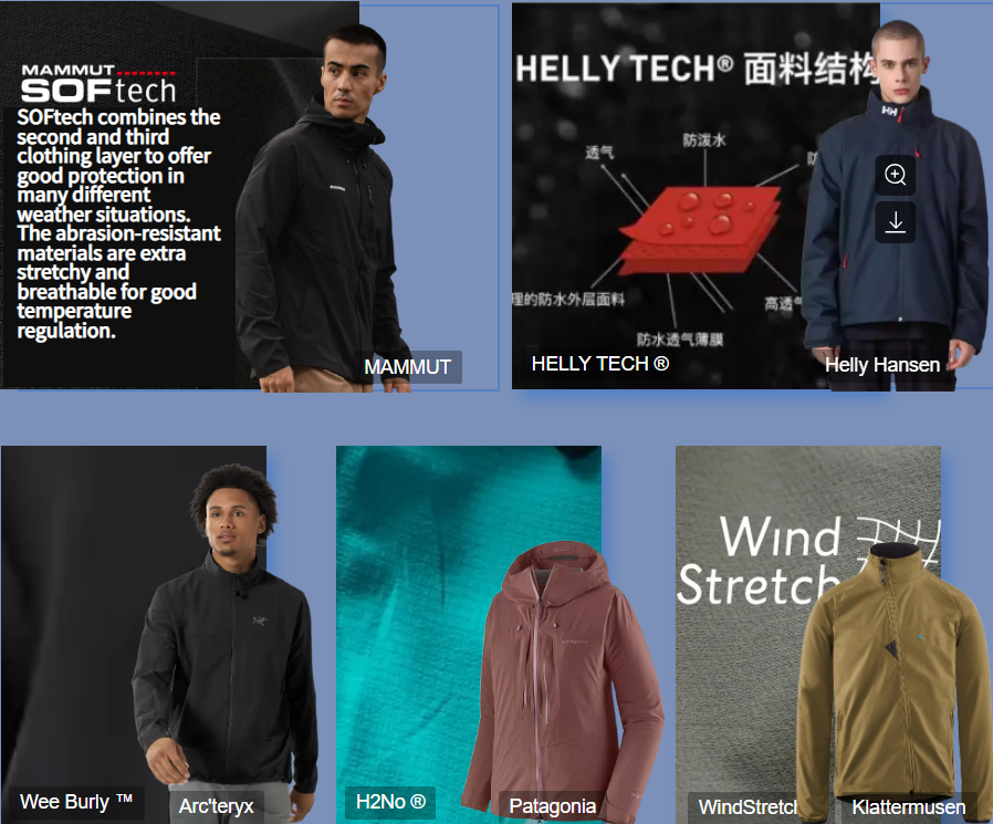 Self-developed Technology