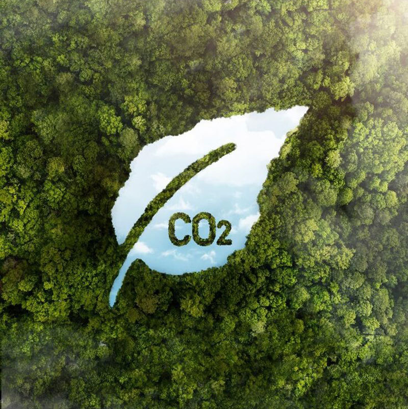 A Guide to Sustainable Manufacturing: Applying Eco-Friendly Standards to Your Custom Sports Jacket and Tracksuit