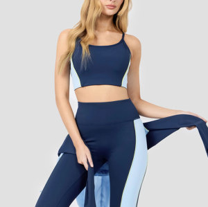 Sexy Gym Fitness Sports Bra supplier| Custom Moisture Wicking Gym Bra Manufacturer