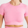 Custom Seamless Crop Top Manufacturer  |  Training Gym Women Crop Top factory