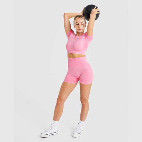 Custom Seamless Crop Top Manufacturer  |  Training Gym Women Crop Top factory