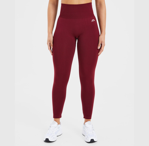 Custom Seamless Leggings Manufacturer  |  Training Gym Women Seamless Leggings factory