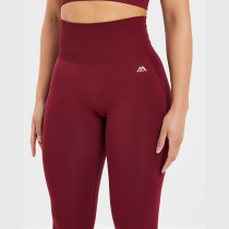 Custom Seamless Leggings Manufacturer  |  Training Gym Women Seamless Leggings factory