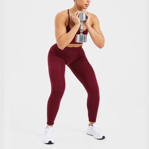 Custom Seamless Leggings Manufacturer  |  Training Gym Women Seamless Leggings factory