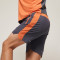 Reflective Elastic Waist Shorts OEM Activewear Manufacturer | Mixed Colors Zip Pocket Men Shorts