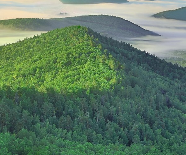 Understanding Our Eco-Friendly Certifications: OEKO and GRS