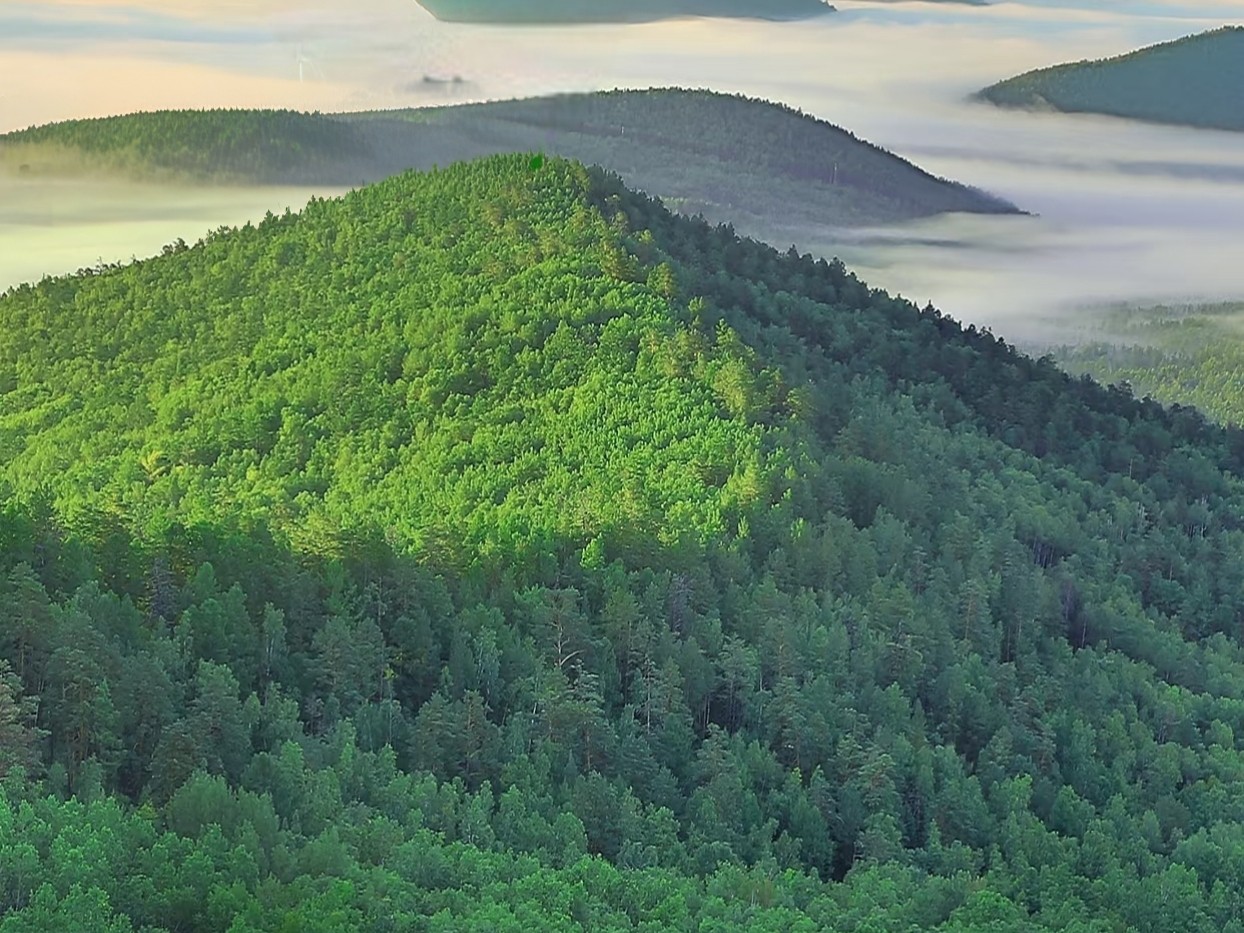 Understanding Our Eco-Friendly Certifications: OEKO and GRS