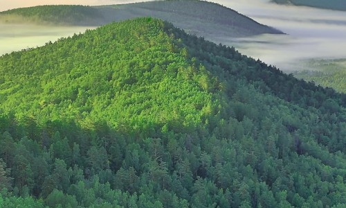 Understanding Our Eco-Friendly Certifications: OEKO and GRS
