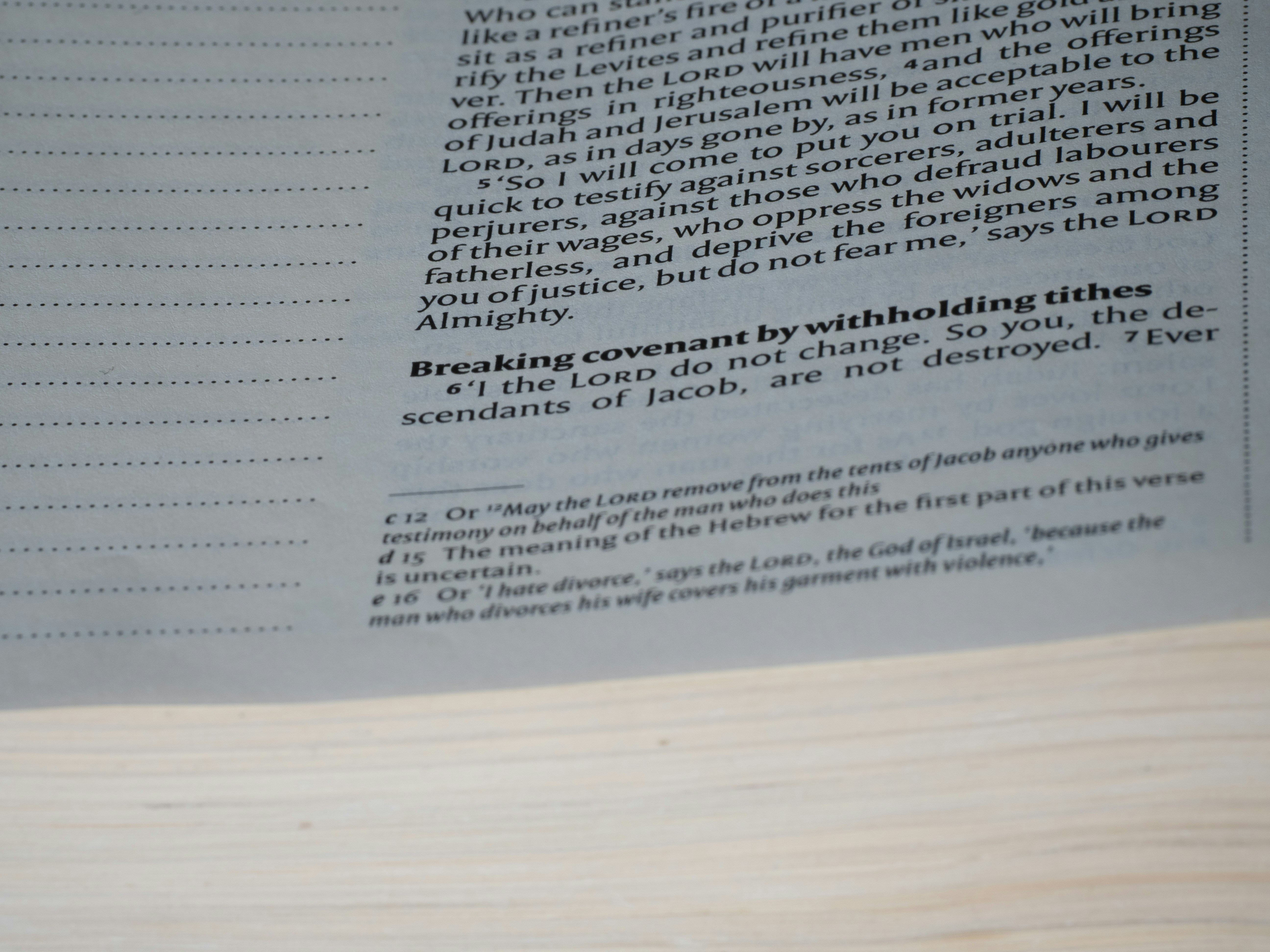 Registering a leggings business as an LLC A legal document with a gavel, representing business registration