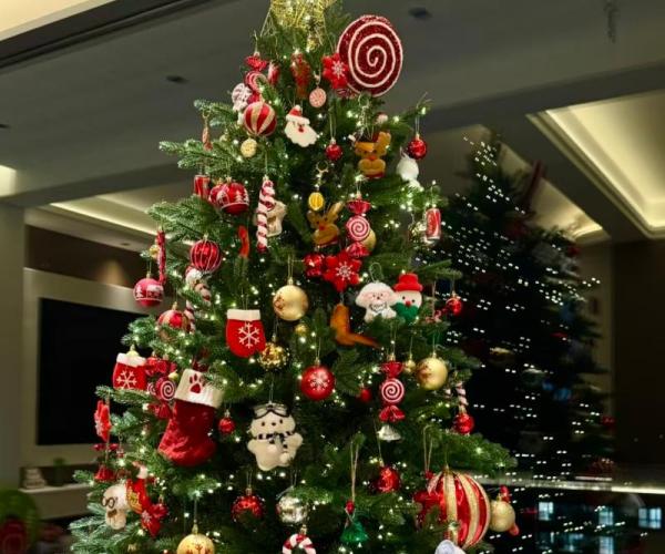 Merry Christmas from Bloomto- Thank You for Growing With Us