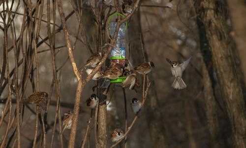 Nylon vs. Polyester Activewear: What's the Best Fabric for Your Workout?