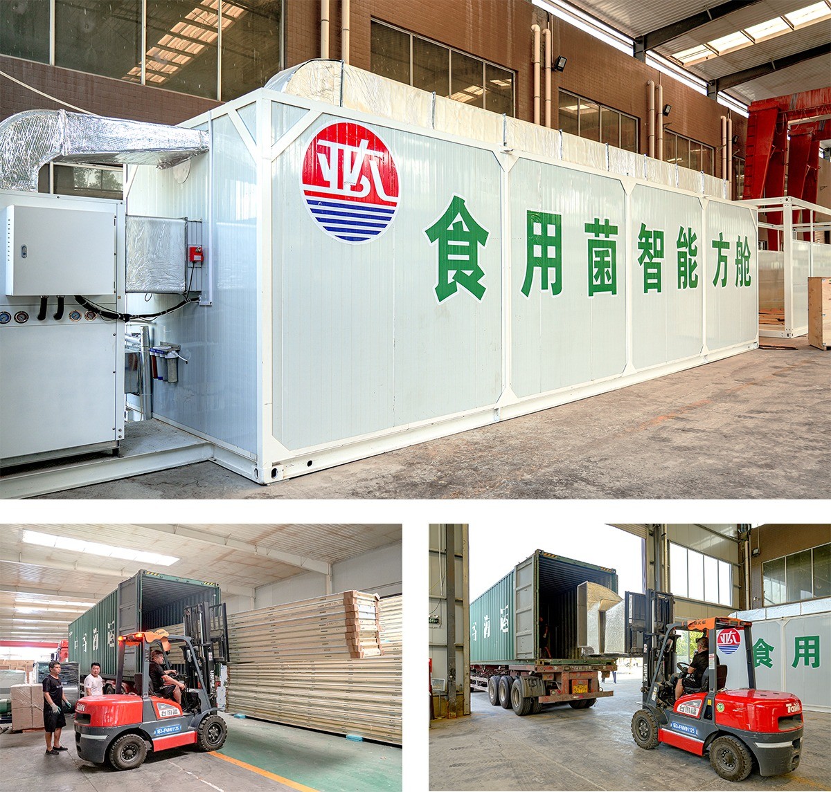 Edible fungus production unit