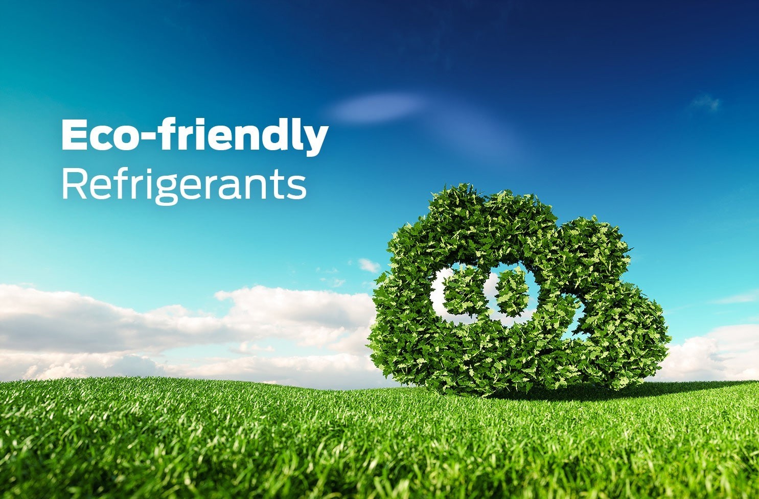 Do you use eco-friendly refrigerants?