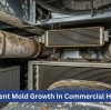 How to Prevent Mold Growth in Commercial HVAC Systems