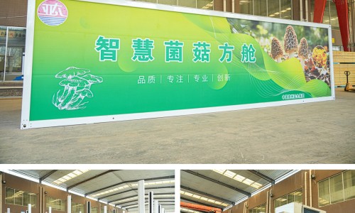 The first harvest of mushrooms cultivated by the Dezhou Academy of Agricultural Sciences in collaboration with Aurashu was successful