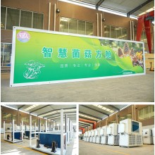 The first harvest of mushrooms cultivated by the Dezhou Academy of Agricultural Sciences in collaboration with Aurashu was successful