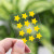 Lemon-Yellow Sparkle Star Shape Hydrocolloid Pimple Patch