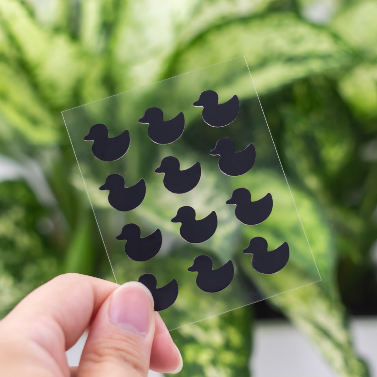 Pimple Patch
