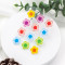 Daily Blooms Pretty Flower Hydrocolloid Pimple Patch That Heal with Happiness