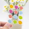 Kawaii Shell Shaped Pimple Patches for Clear and Happy Skin