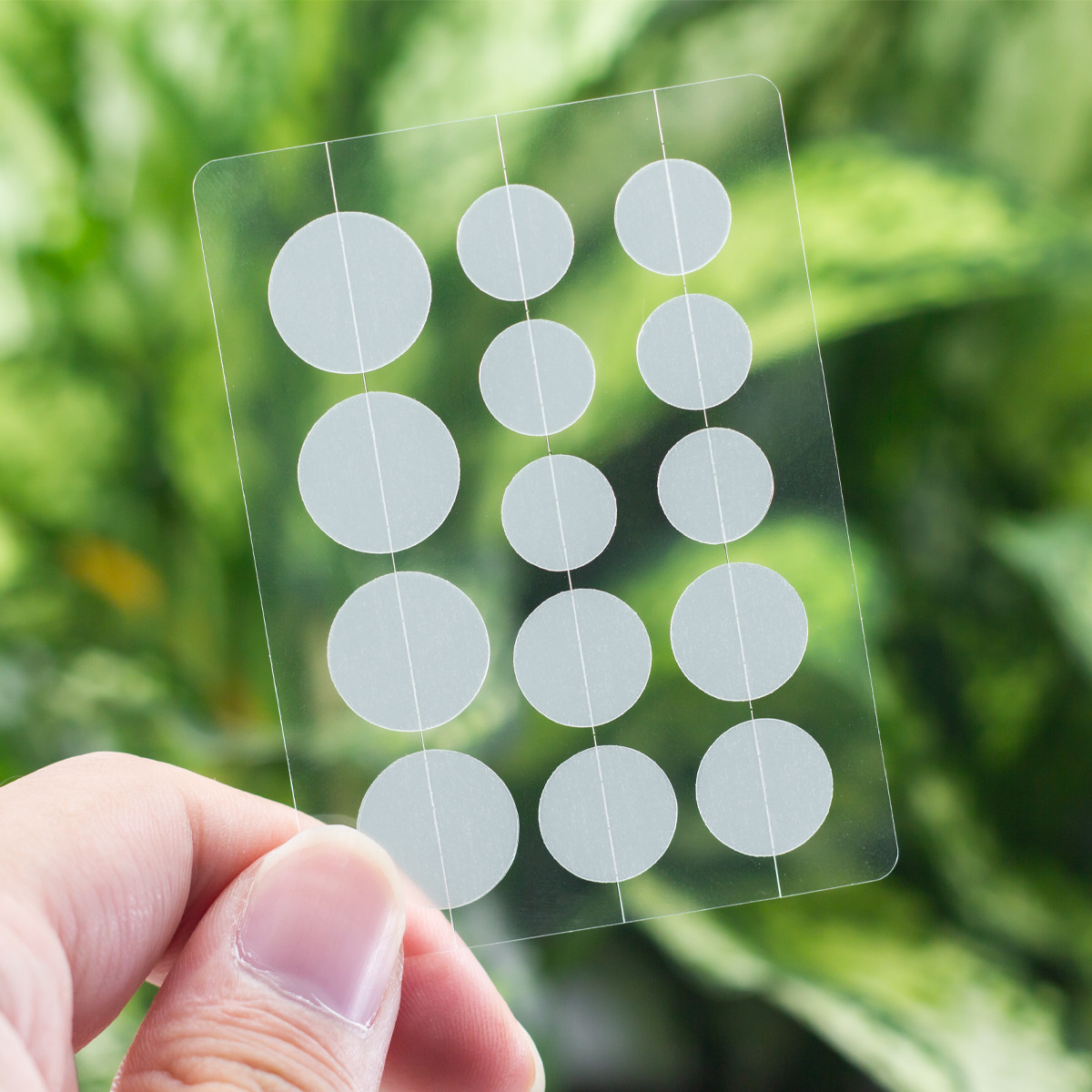 Hydrocolloid Pimple Patches