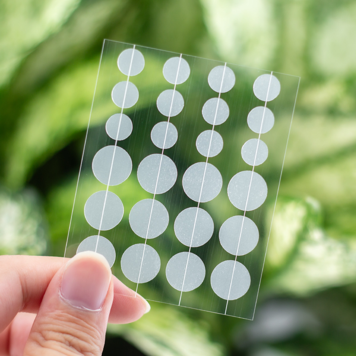 acne spot patch stickers