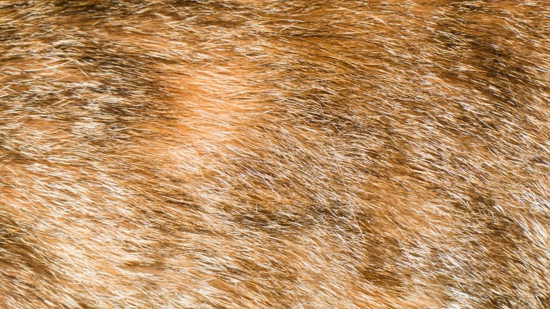The Ultimate Guide to Blemish Patches: Your Secret Weapon for Flawless Daytime Skin