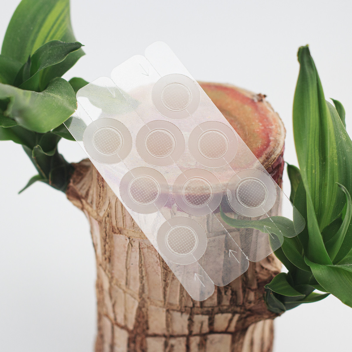 Microneedle Pimple Patch