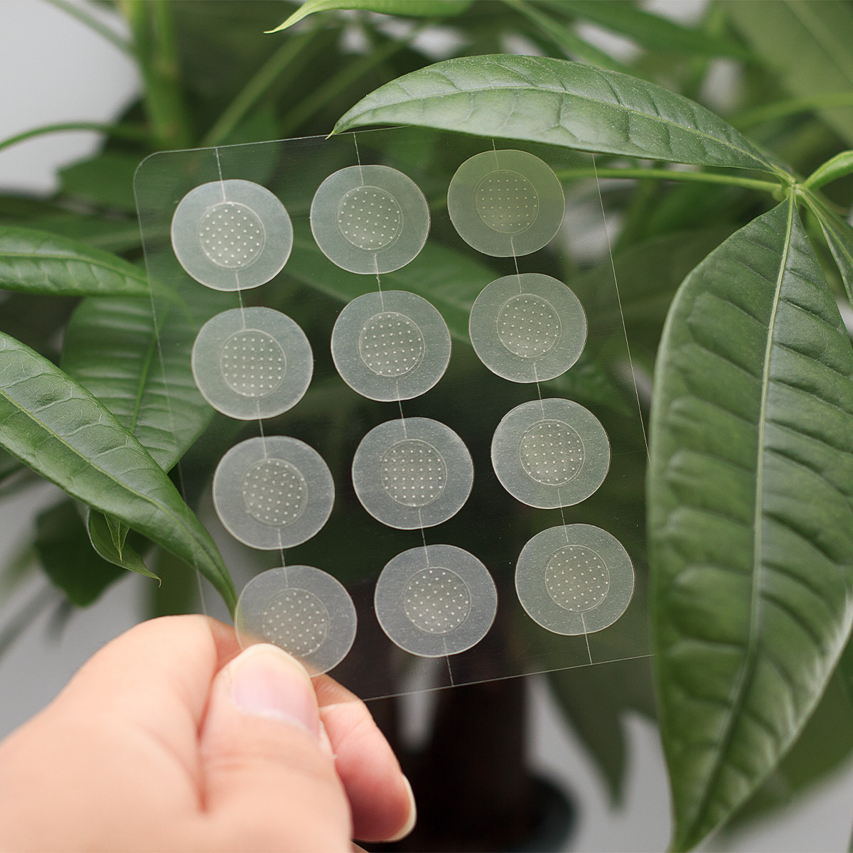 Microdart Acne Pimple Patch