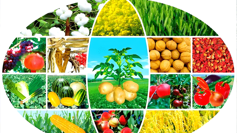 The market is vast! The application scenarios of magnesium sulfate heptahydrate are continuously expanding BY:Lydia