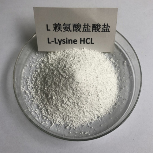 L-Lysine (Powder/Granular) HCl 98.5% Feed Grade - Poultry/Swine Nutrition | Bulk Supply & Custom Blends