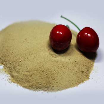 Plant Amino Acid Fertilizer 80% Free - Foliar Spray & Soil Conditioner, Bulk ODM Supply