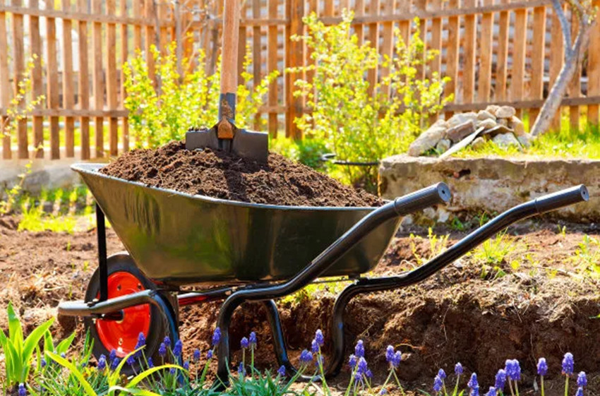 Soil Amendment